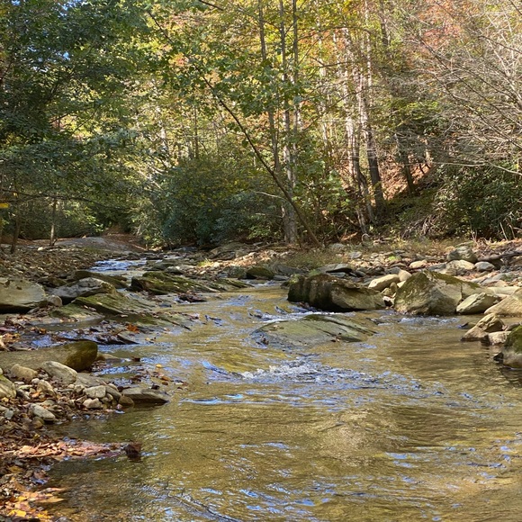 Meet your Posher, Sarah Beth - Picture 3 of 3